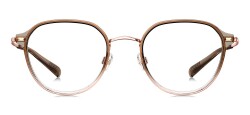 BA6006-B29